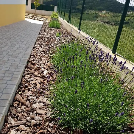 Casa Da Caroleira * Pacos (Lisbon)